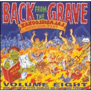 V.A. 'Back From The Grave Vol. 8'  2-LP